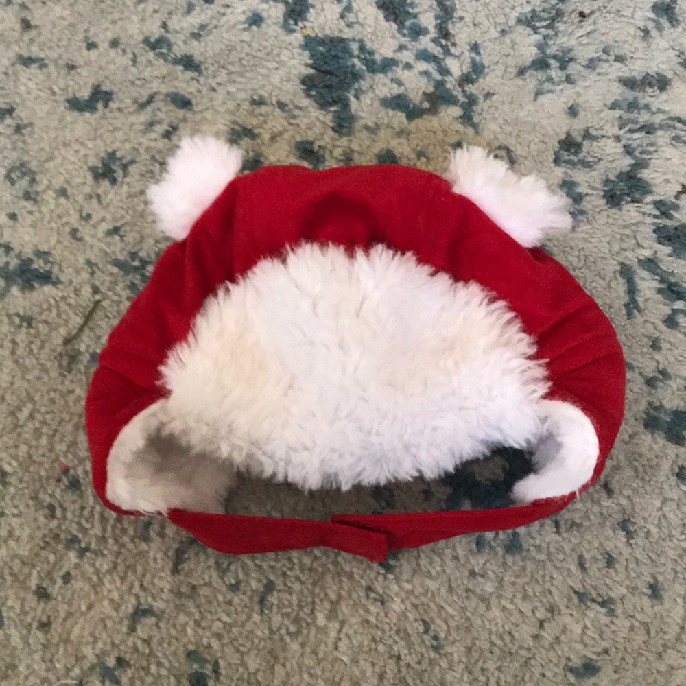 Winter hat